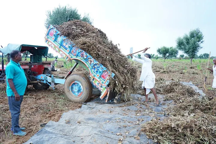 From Deluge to Drought: Rajasthan’s Weather Whirlwind