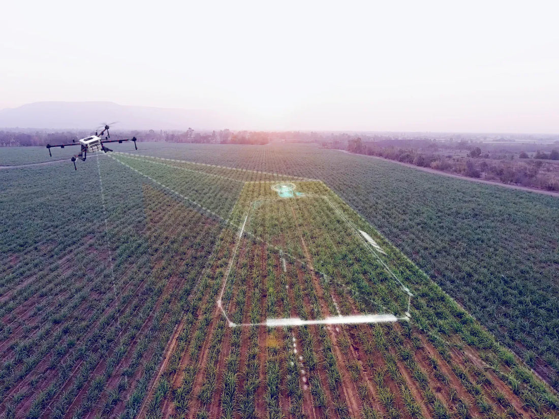BharatRohan: Empowering Indian Agriculture with Hyperspectral Imaging and AI