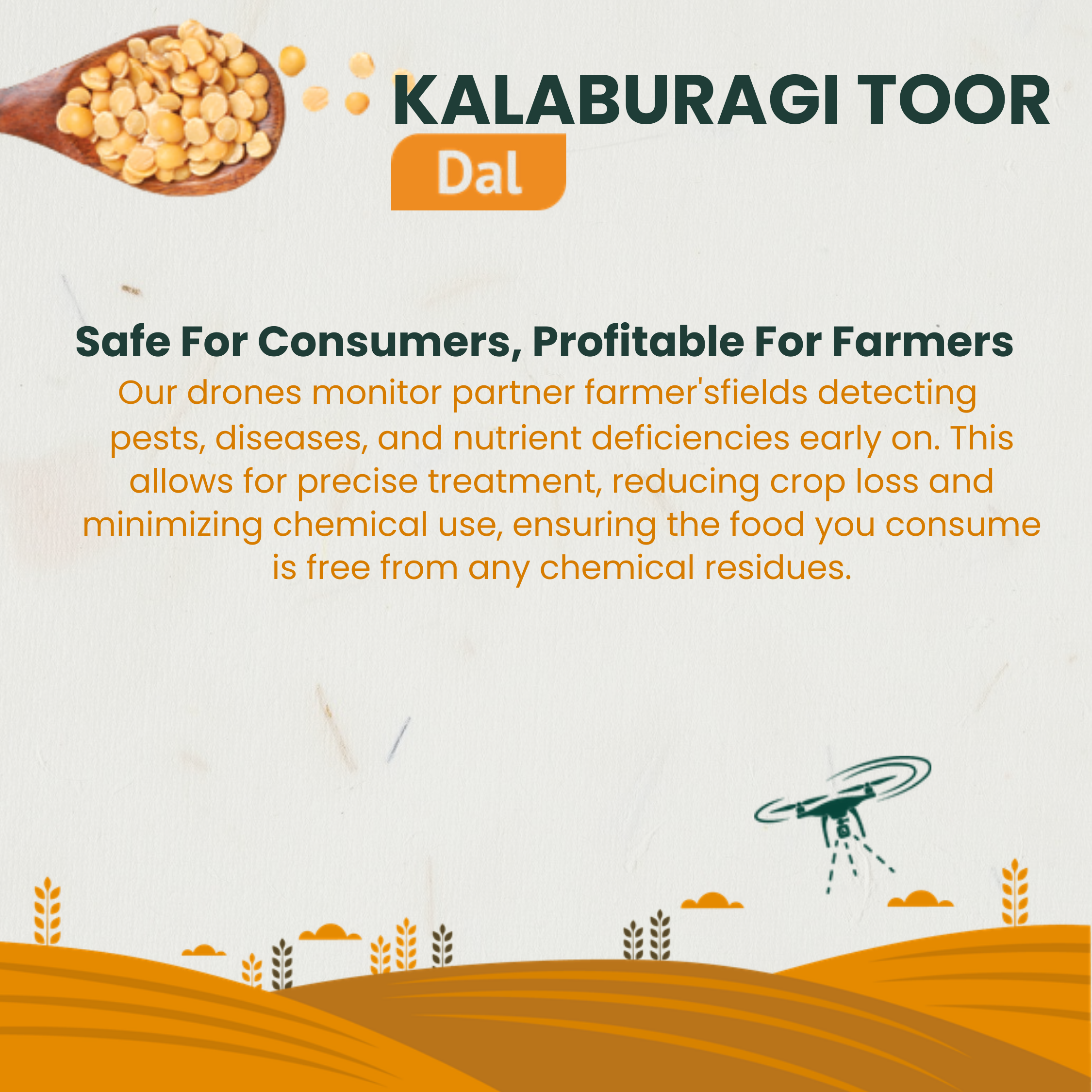 Kalaburagi Toor Dal