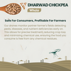 Dharwad Kabuli Chickpea