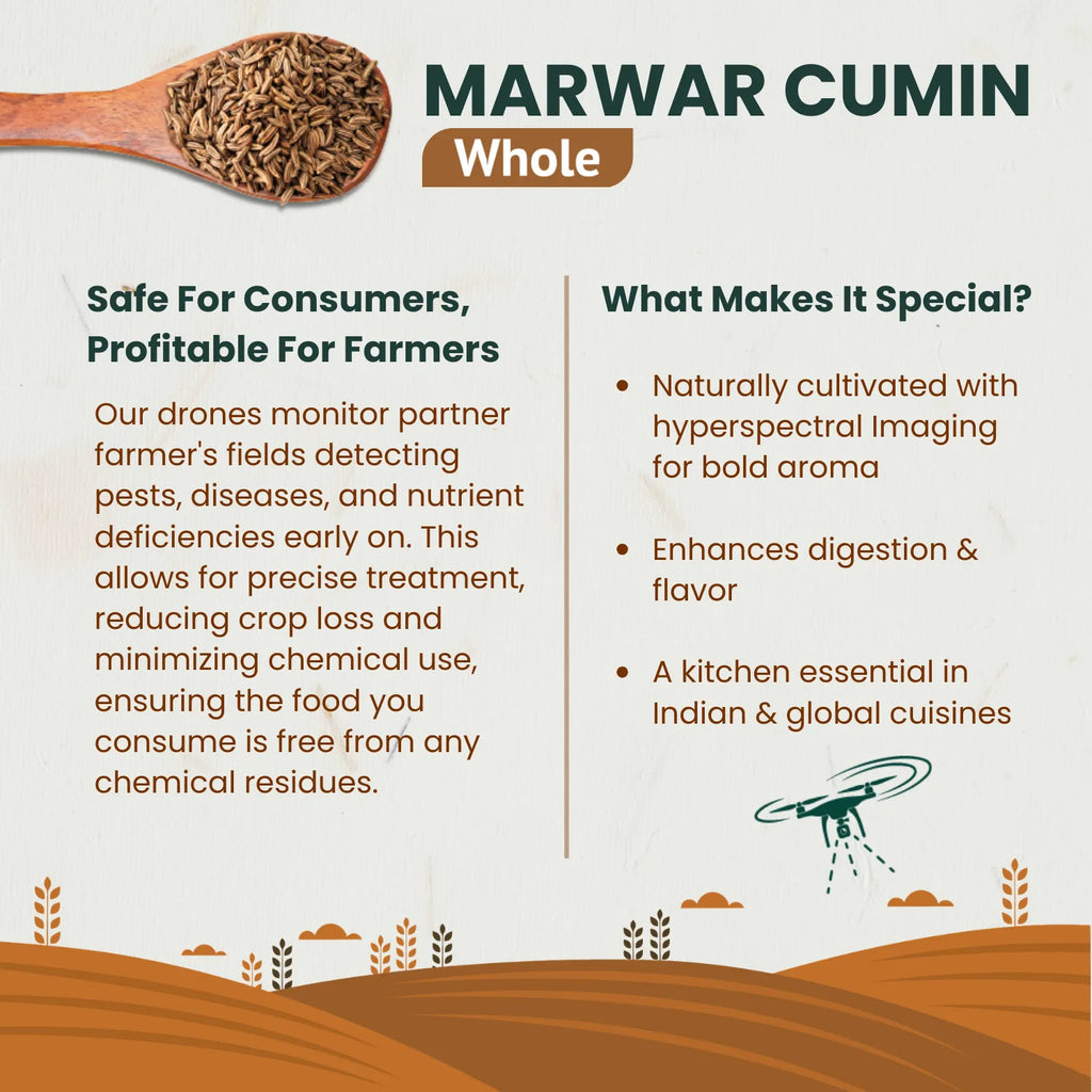 BharatRohan Cumin Whole benefits