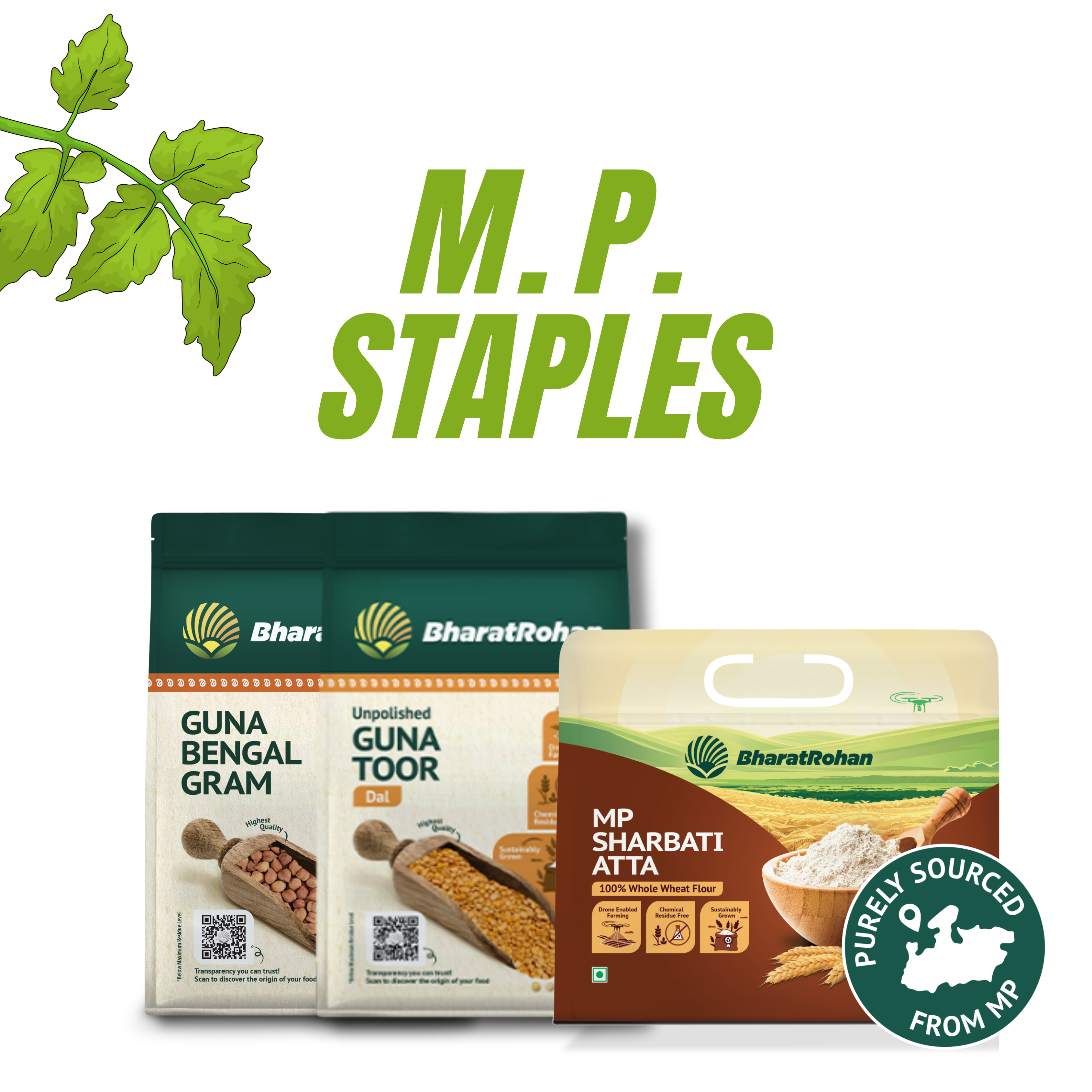 MP Staples